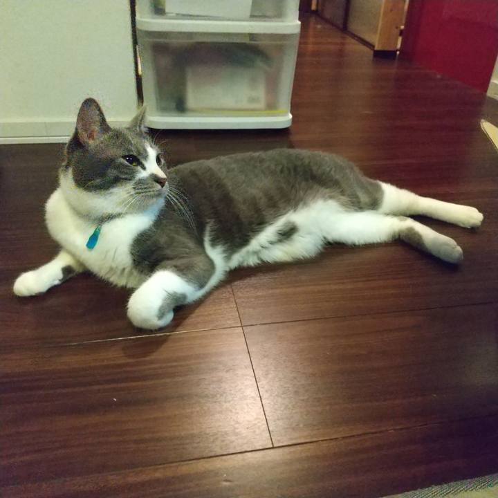 13f395cc e994 4a4f a696 3a3fab839eed 1640955570687