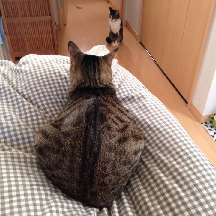 13f3be95 e480 4453 b38f f8e3d81e52f4 1509850115686