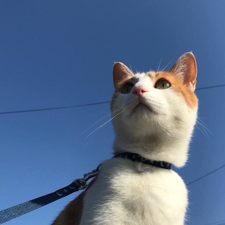 13f402ae 11c9 4662 8d08 82b2ce67d153 1528097482636