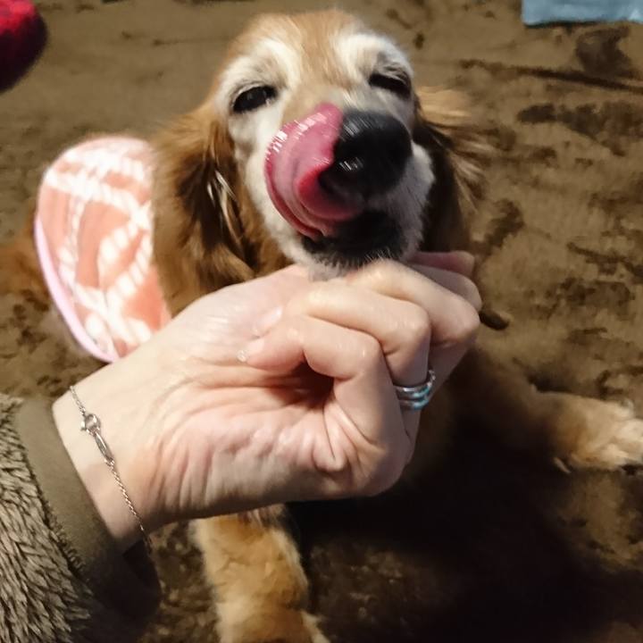 13f40736 745a 454e adb7 d994c86d0e25 1517375274348