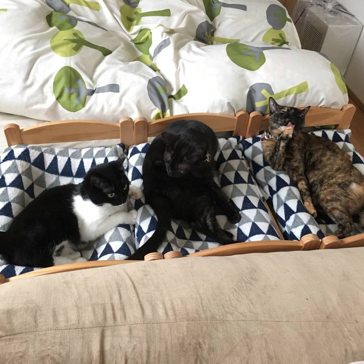 13f418cc 7744 475d ad69 34954efe0bff 1527644238059