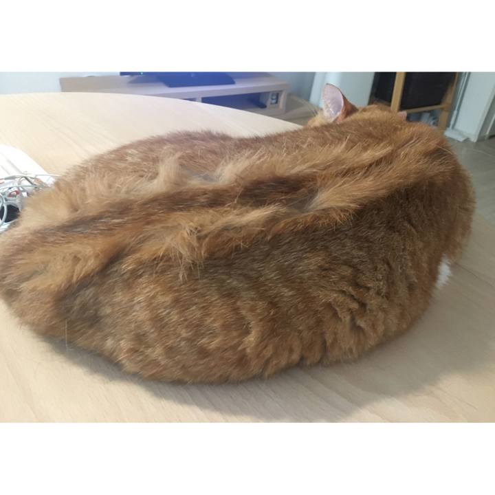 13f464d4 4dfa 4a54 8e12 a2d617aaa520 1592965423951