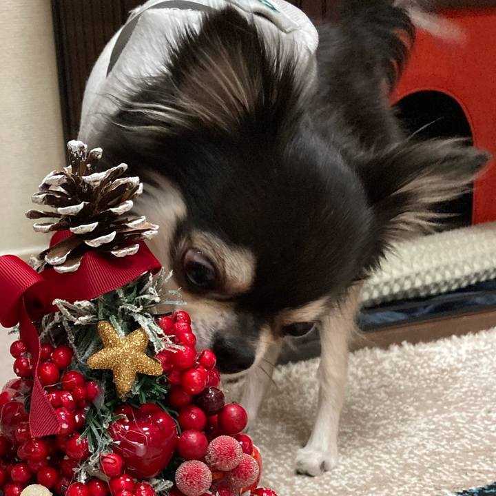 13f47373 5eda 43e2 aed0 8791f3621d6b 1703413063199