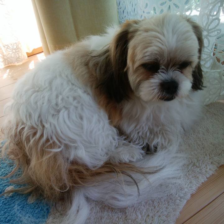 13f49400 67b6 427e bd97 444f7ae8121e 1527124931177