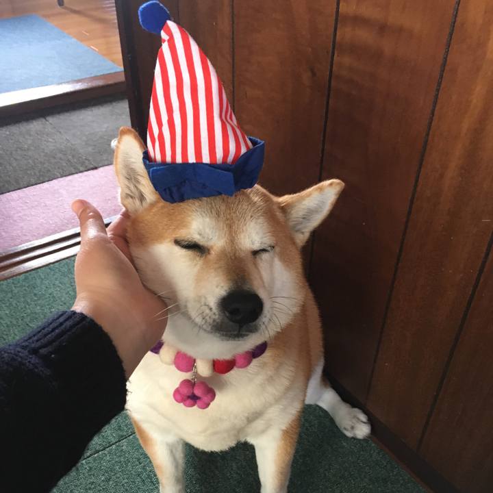 13f4a404 5695 4e1b a189 e62b0a9730b6 1638149934110