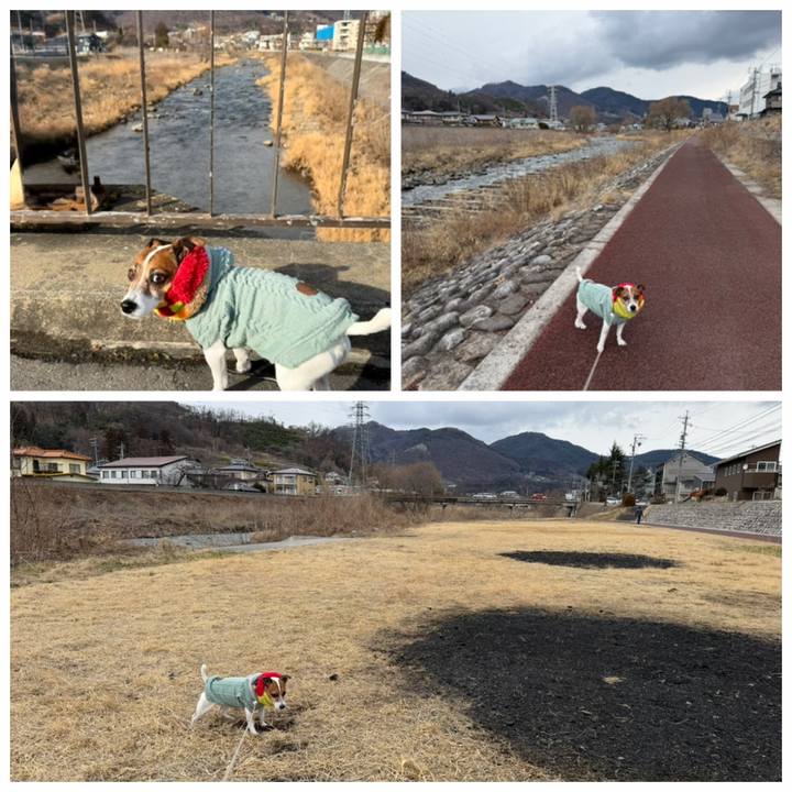 13f4e8e3 1a19 4b90 8cdd fae3ea07db6e 1769260767529