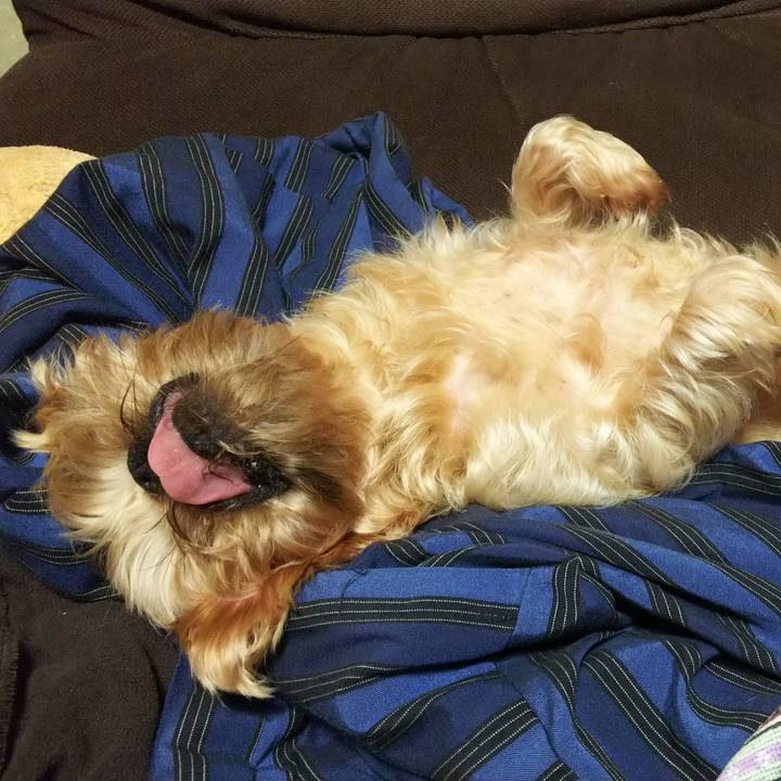 13f4f909 1bd3 4d59 a401 d7066b945806 1510381202777