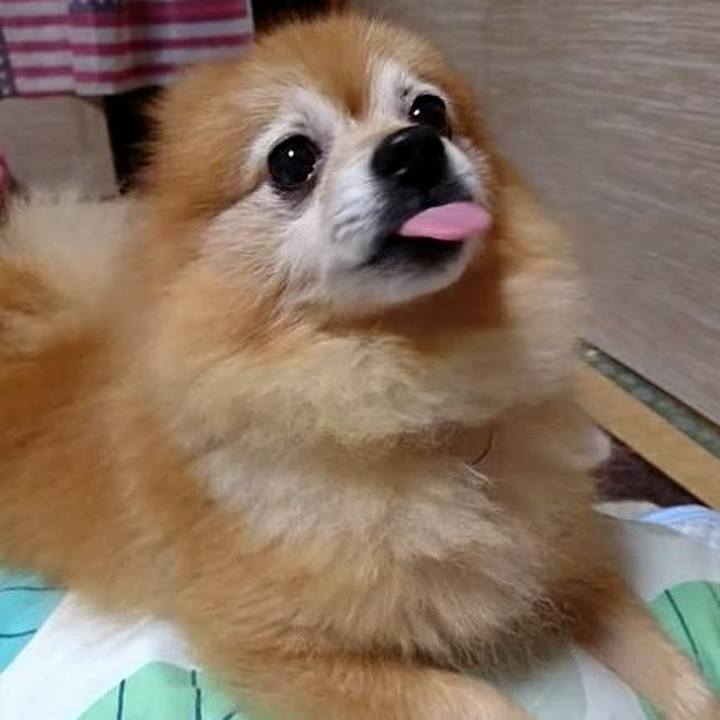 13f51987 05c1 419c a654 7d269c9f0eac 1507815106535