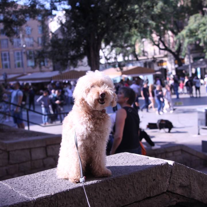 13f56ef0 2806 42c1 982c 3f727bca787f 1509023195323