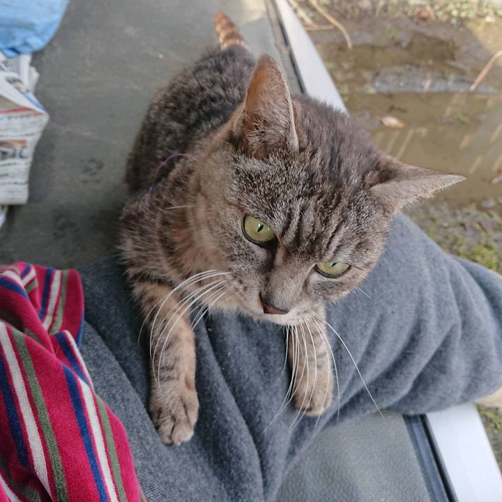 13f57507 ab93 4cdb 9308 908636a47ab5 1581749000229