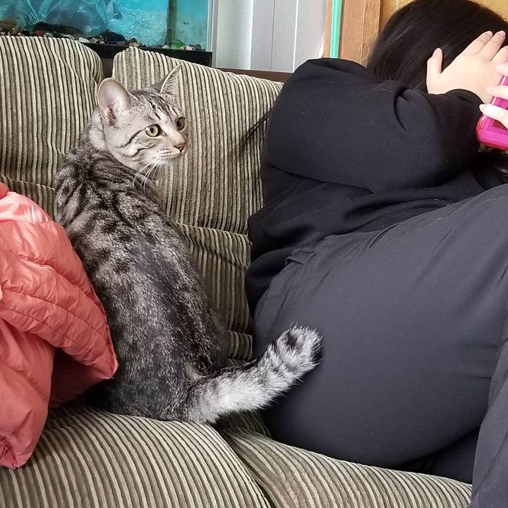 13f58b59 c8fa 42c9 b4c6 ed480cd30038 1676184091733