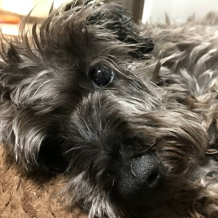 13f5a786 6bf0 4b81 9a86 9fb764465279 1517054984428