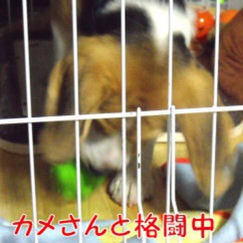 13f5d1c5 d29f 4297 b8d8 0df8d3cd5a43 1684448072548