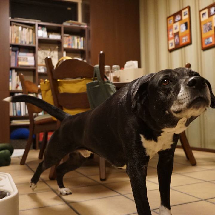 13f5dbdf 1e39 4d99 a28e e582e761ce92 1768216033960