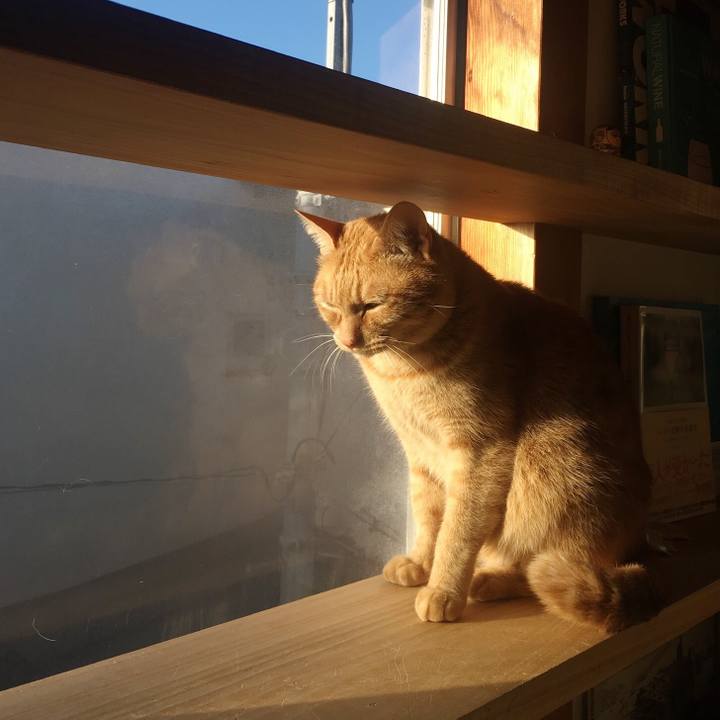 13f60abb 8be2 48c3 b40f 0986acd917ef 1579783957942