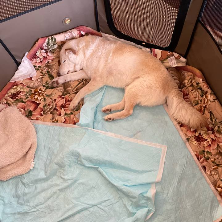 13f619ef b5e0 46b1 bda4 b1ec1fc35715 1647314652745