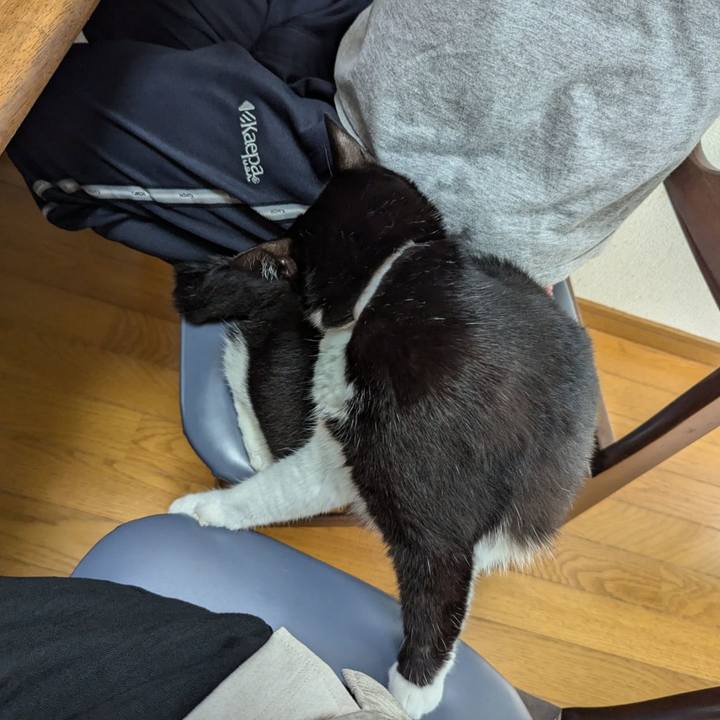 13f61eac 3d6f 40f9 8673 68e45b6f0257 1726386491327