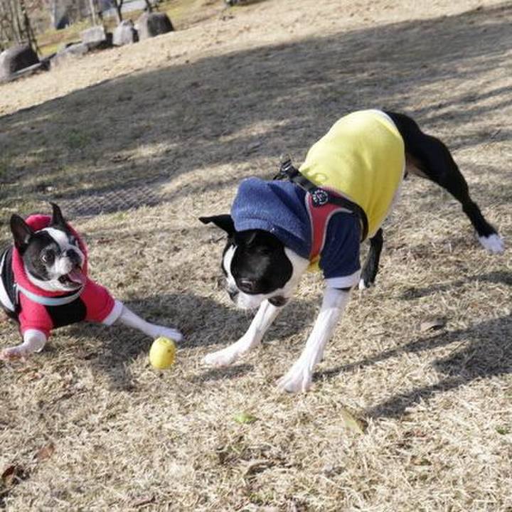 13f62e41 86ac 46cd b211 a68ff8fe23d0 1546488375460