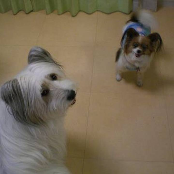 13f6509d 106d 48f8 923d 2ed2977eb285 1508501231661