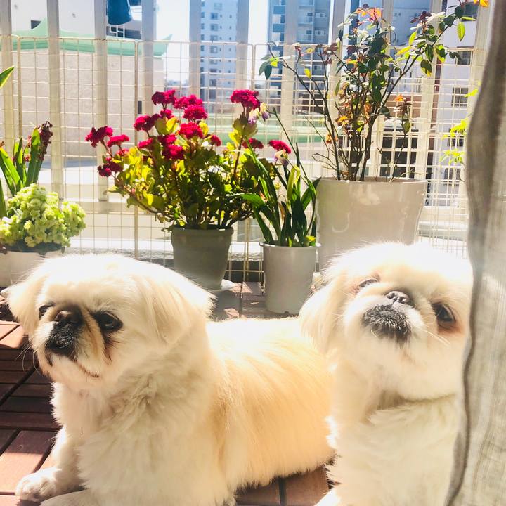 13f6589d 9565 4883 9c4d daf5325574ce 1585060156184