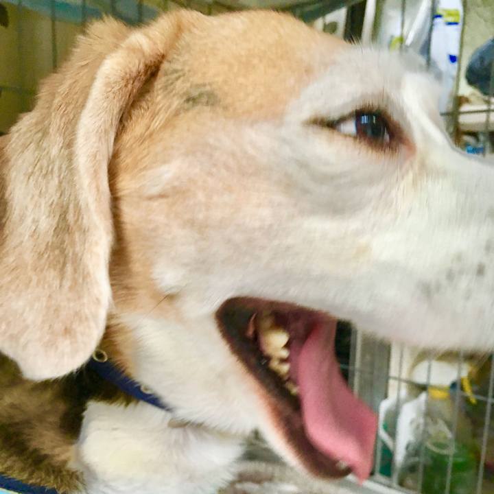 13f66c78 26dc 4072 8e81 09b6997fb15a 1759290128682