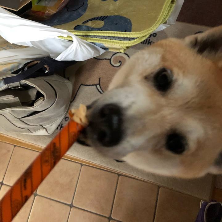 13f686d2 1800 4ea1 8963 1b4cc10eae77 1573992784007