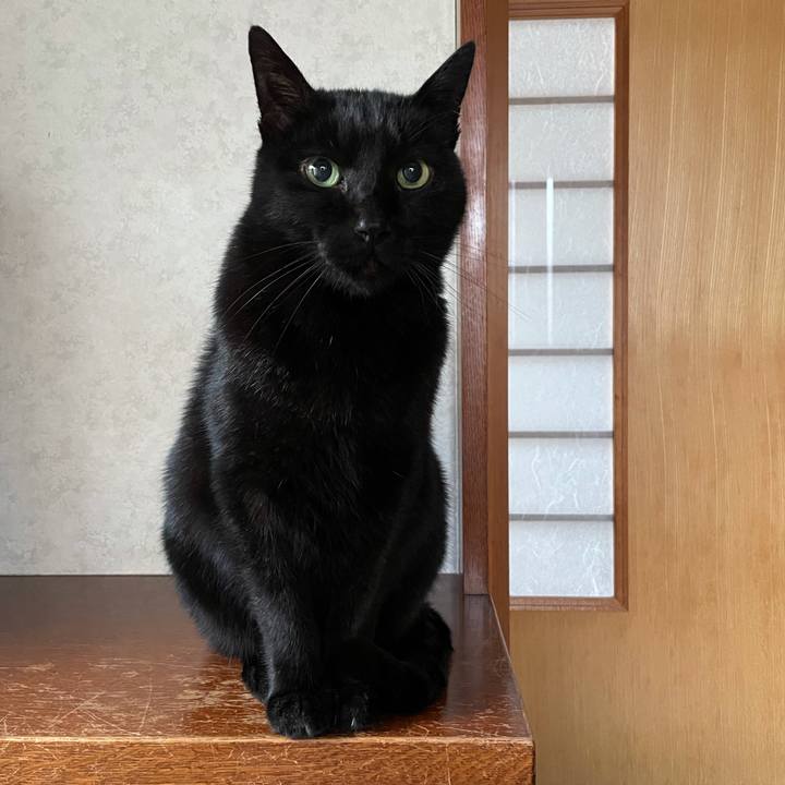 13f6e5cc 2fab 4249 b5d6 11df2db838c9 1609466176848