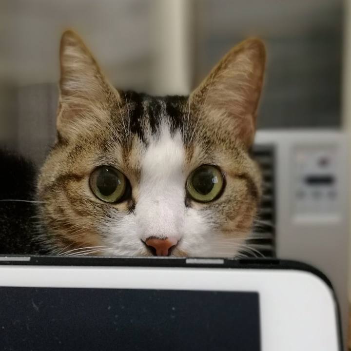 13f7557c bfdd 40bb ae89 7e313af92376 1519352084455