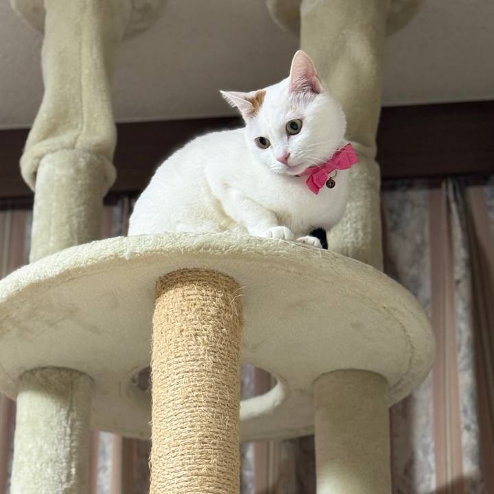 13f770b1 9428 46b3 978d 9fde29c93e7d 1764339314230