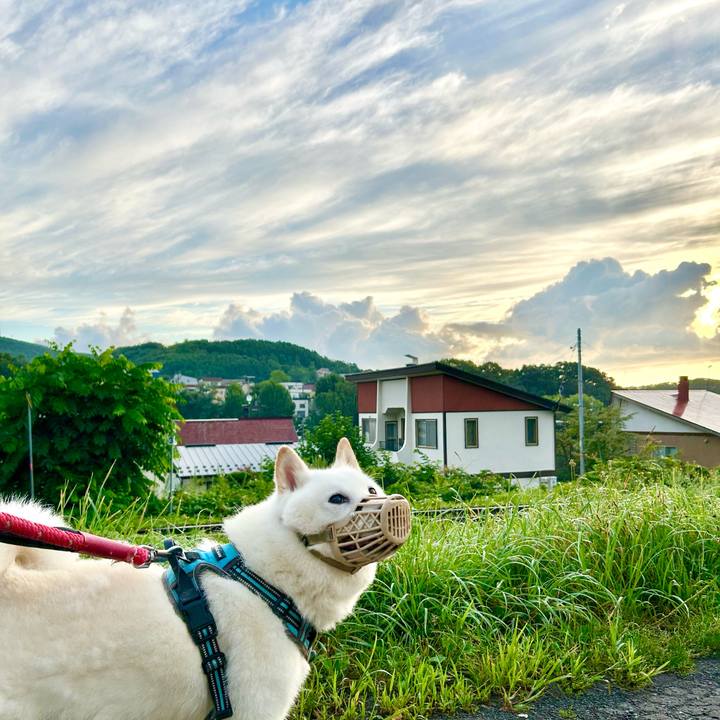 13f7af25 578f 4253 98c8 d9c078c71fc2 1755810140697