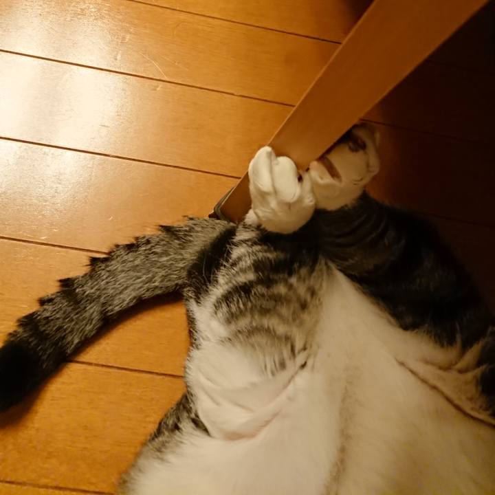 13f7d567 1991 4089 bad4 c31d5e7c8c21 1568898530002