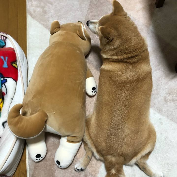 13f7ec0c a54c 4ad9 a556 20d70c910826 1581854211717