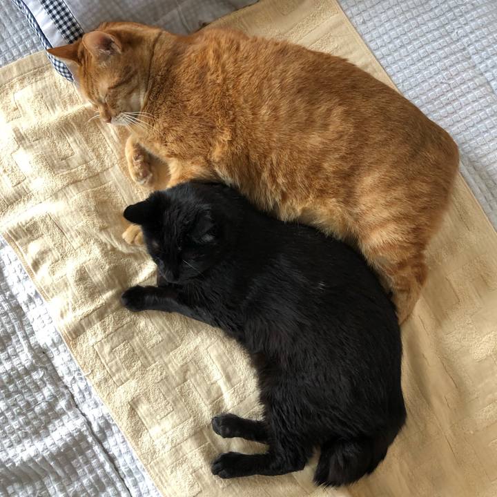 13f7f8a7 0273 45fd 8893 e282549bba25 1593307896672