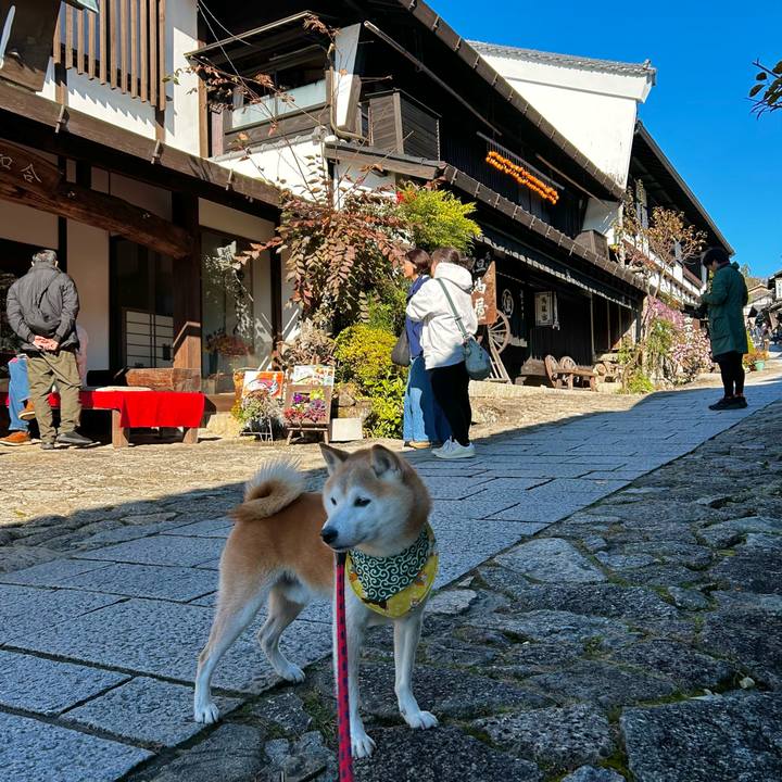 13f80fc1 d734 4afb a877 524d7856a075 1763710484112