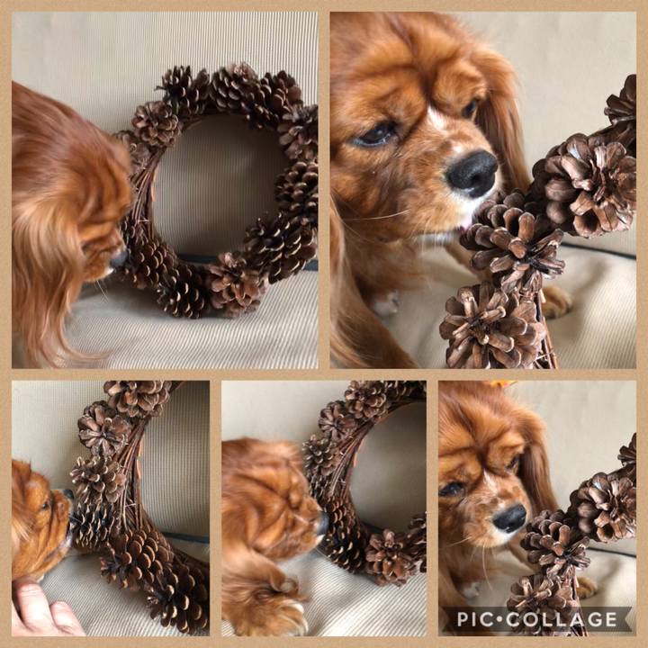 13f83ed6 7e19 4cef b802 3f357e3af330 1573369990318