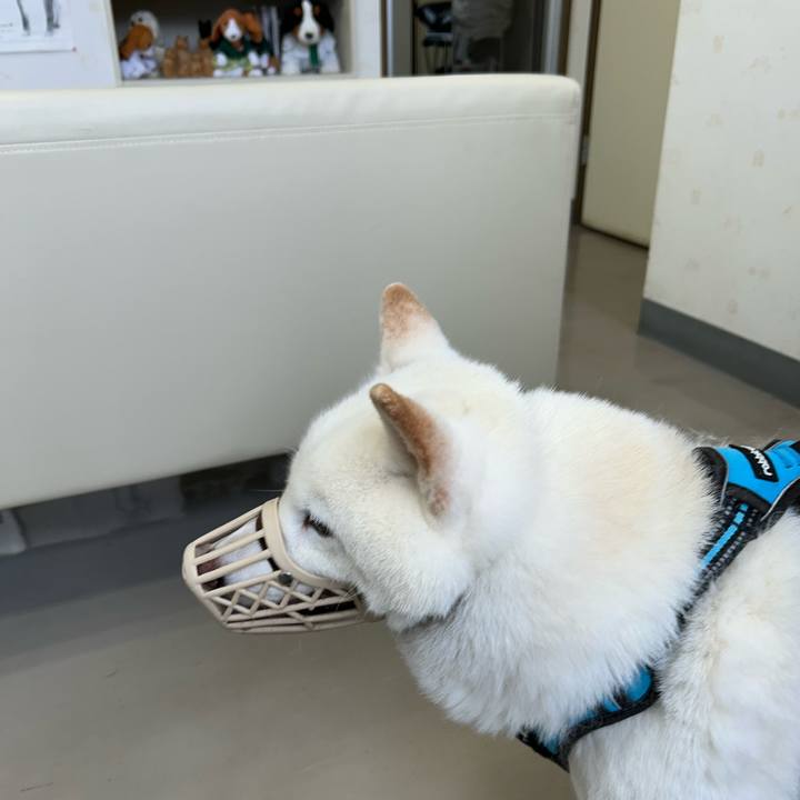 13f899eb e1fb 4b46 af95 7dbd13b14b3a 1772758122716