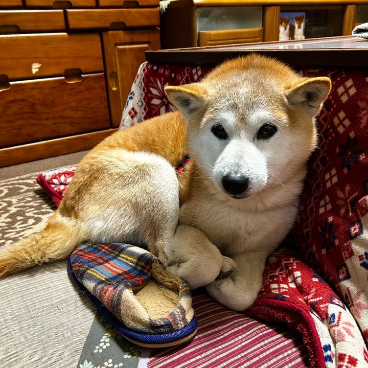 13f8a053 fab9 4bef b113 56e17948bebc 1771417949568