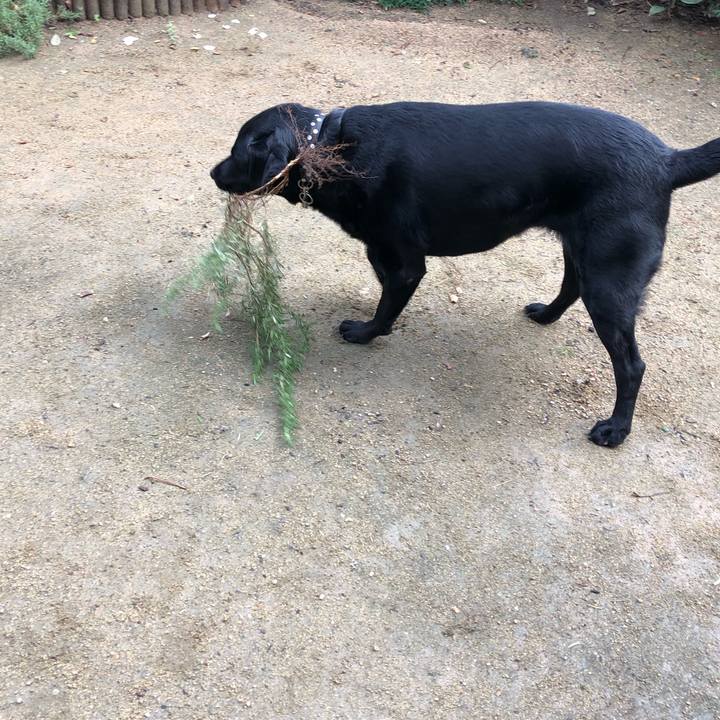 13f8a56f f0f1 4288 8922 09bbb42a1d22 1608514380172