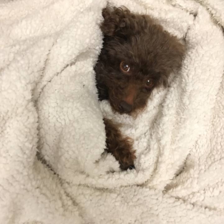 13f8d4e2 c0f2 49a6 8bc6 daac41aa8df5 1554411633092