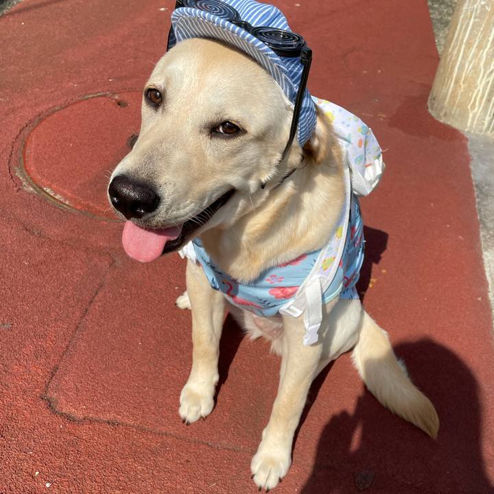 13f8dc1c 6f9e 478f b779 d2209ba4e72b 1624533149738