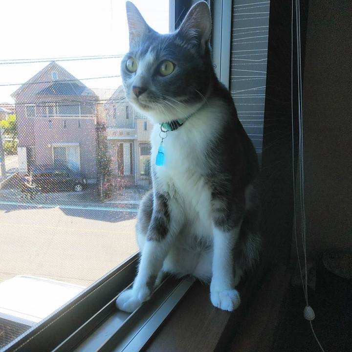 13f8e699 6437 47d0 a130 9e51b9348745 1592348334436