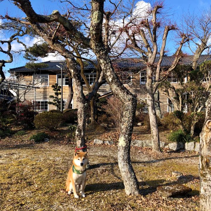 13f8efa6 b422 46b9 be80 78d9a198f068 1550303049293