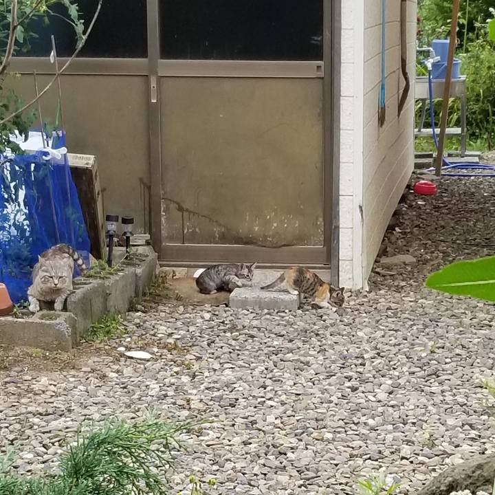 13f8f17c 4d92 4ca9 b26f e2d9fb0035a4 1691678993009