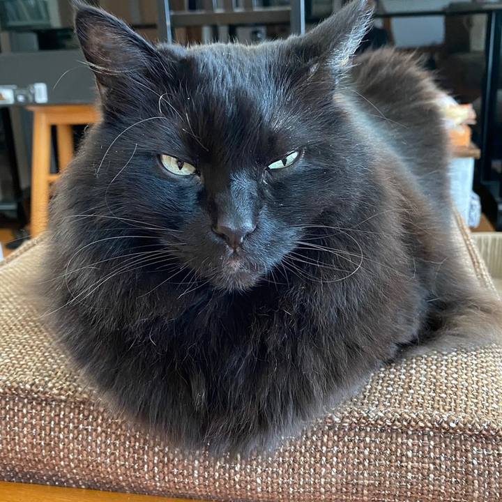 13f94137 dd5f 402a 9da2 668bc9d4cf62 1615541357559