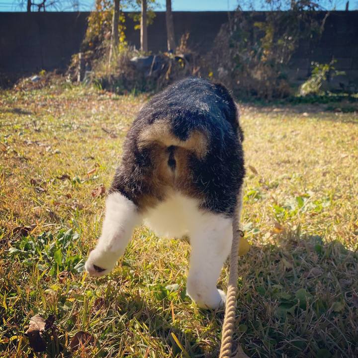 13f942be b983 4f33 8a38 000680397451 1638589396431