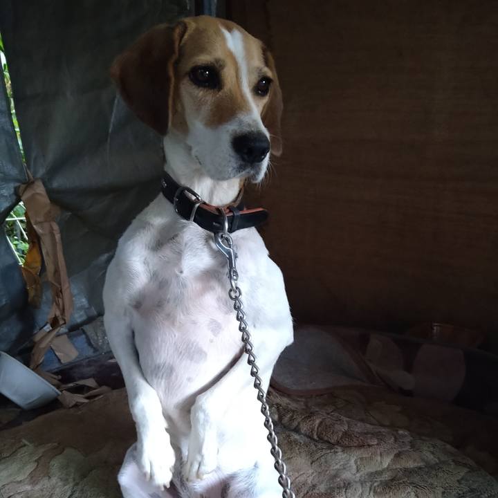 13f959d3 81f9 4242 a4ff 352800919a92 1664094641935