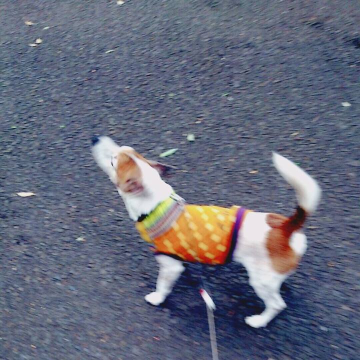 13f965aa 198a 4f64 98ec 61a96e07db47 1518430448191