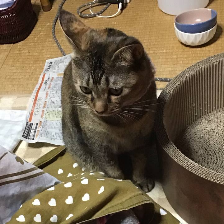 13f978db e1ed 416c 8944 269e5038141d 1699965099304