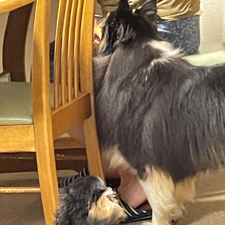 13f9a7fd ed63 4b5e 8ab8 29b089778022 1629636879140