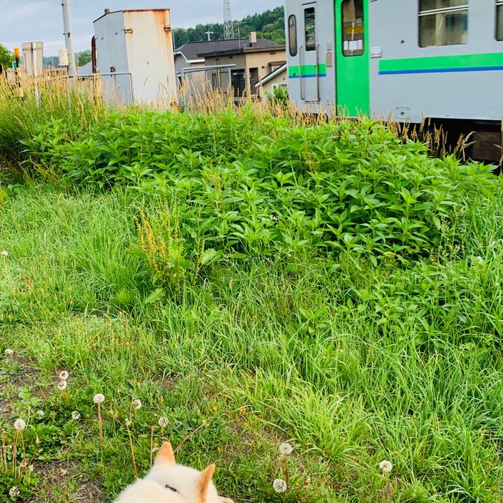 13f9d478 c389 4670 8e05 a3d37d6eb373 1563396893751